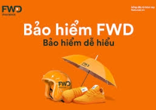 bao-hiem-fwd